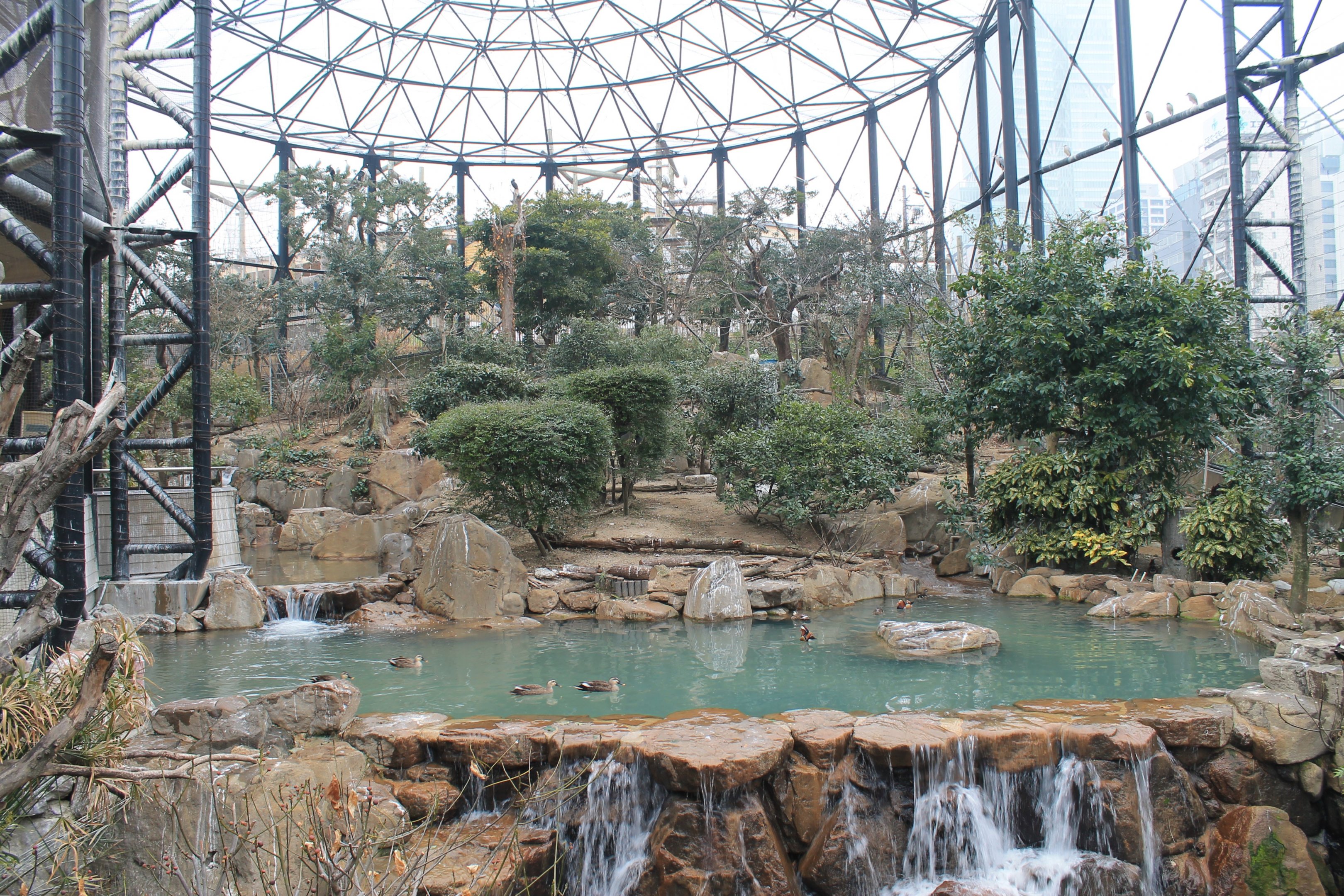 Interior of Flight Aviary