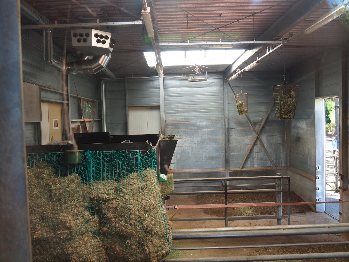 Interior of giraffe barn