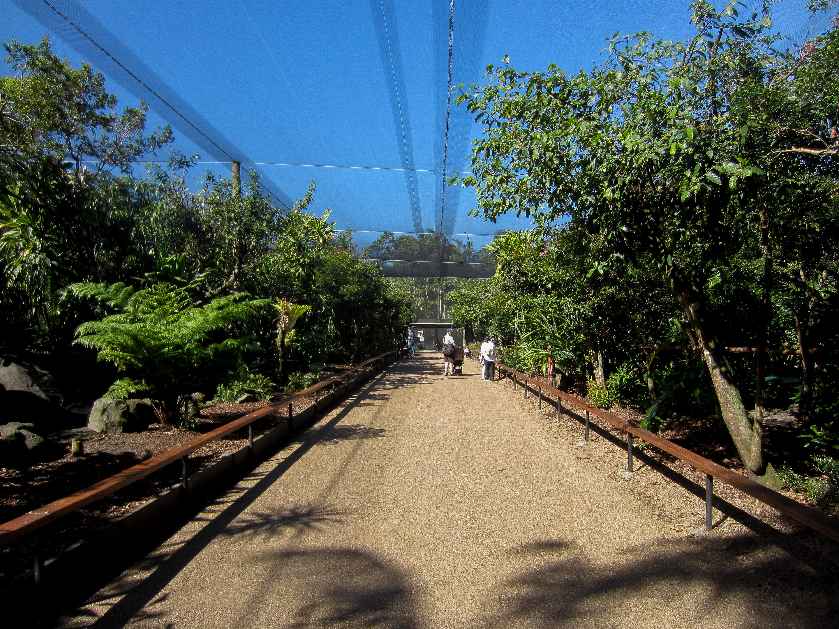 Interior of "Grace's Bird Garden"
