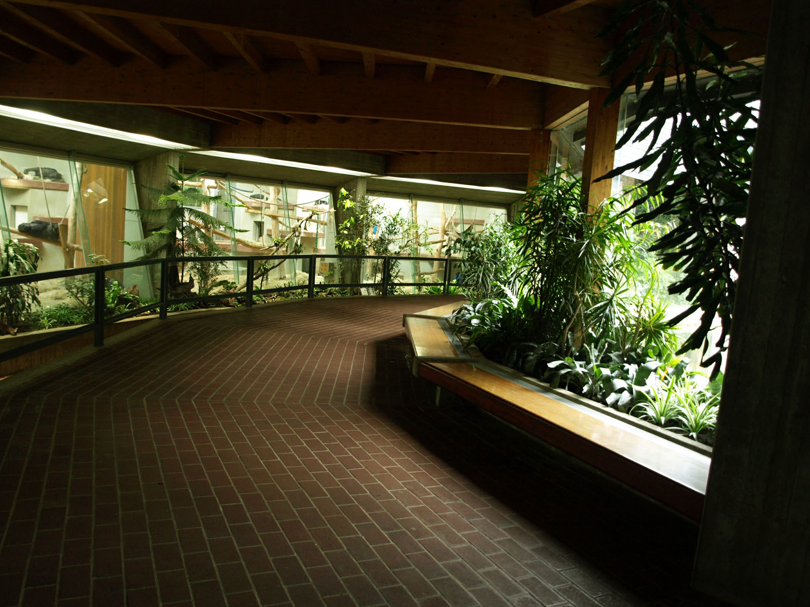 Interior of Great ape exhibit
