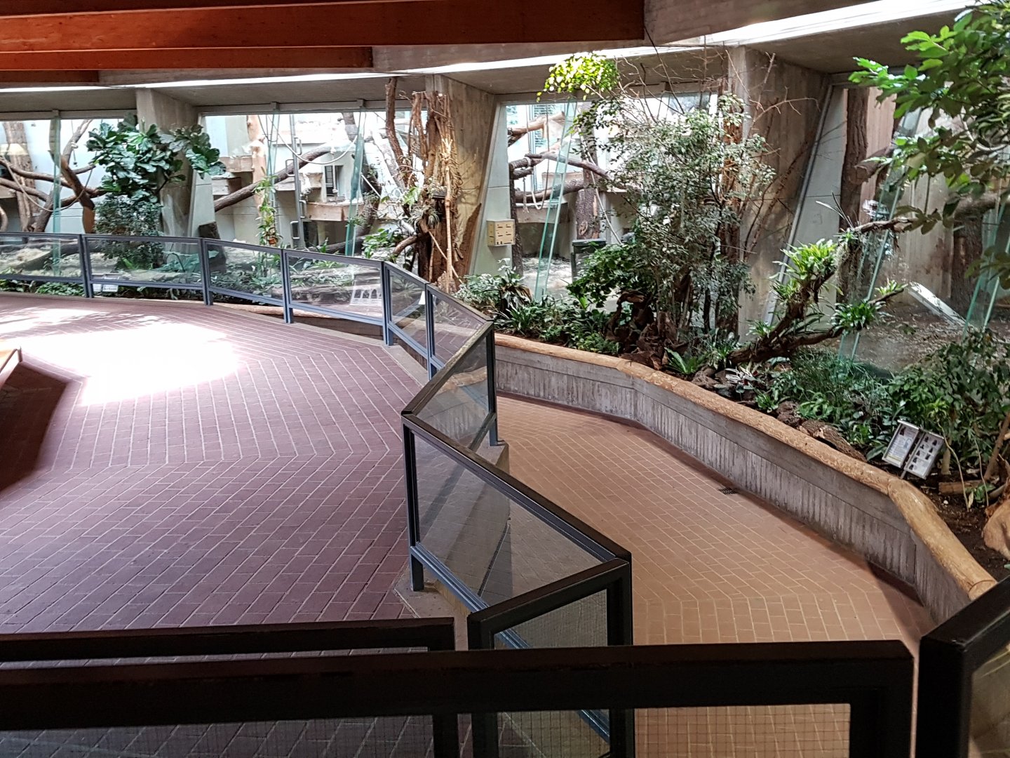 Interior of great apes house