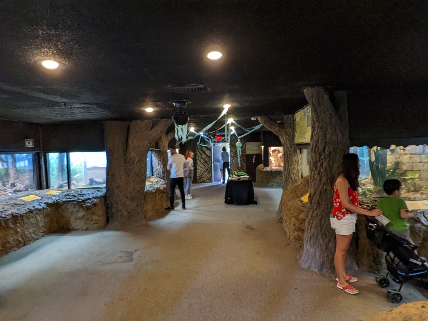 Interior of herpetarium