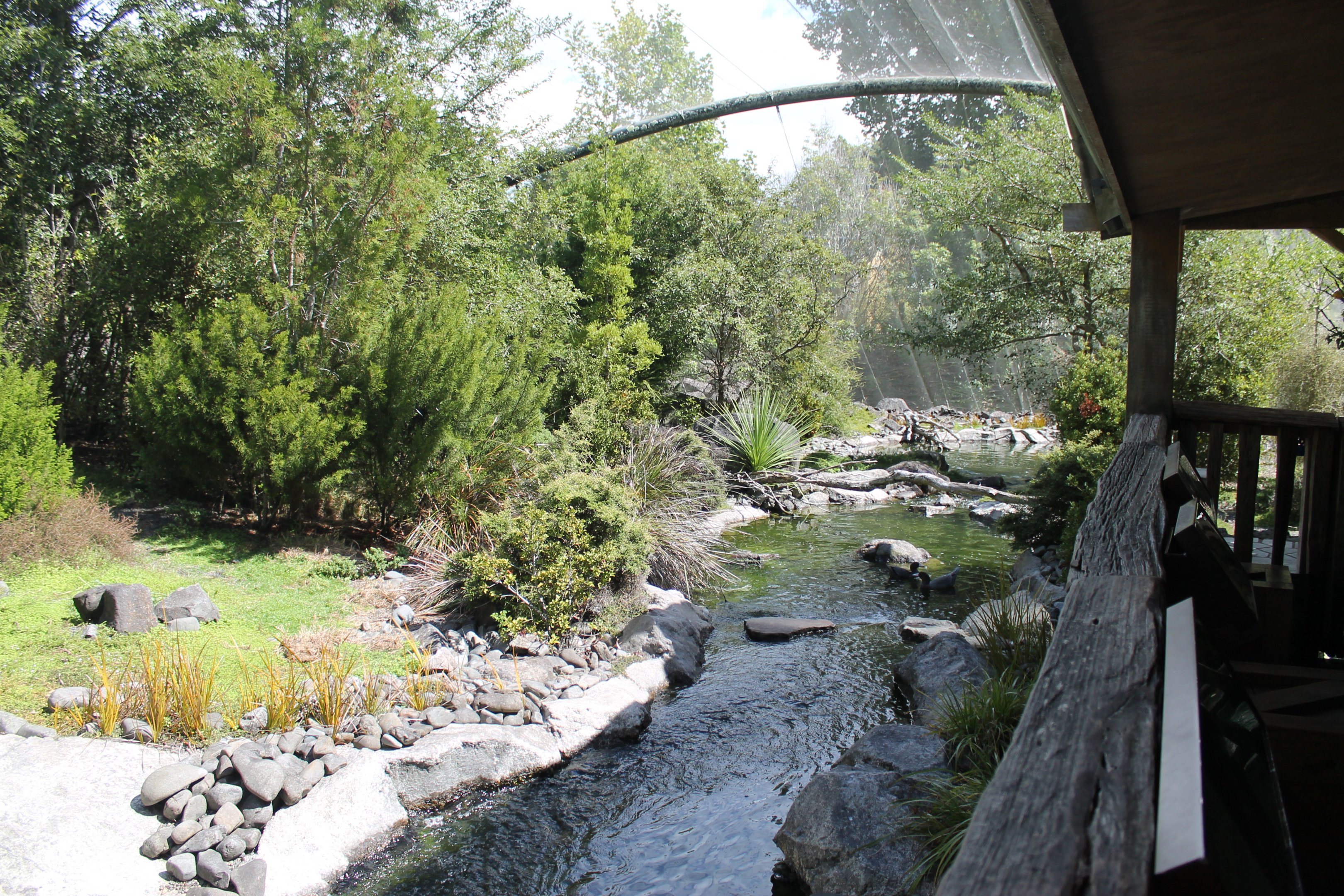 interior of High Country aviary