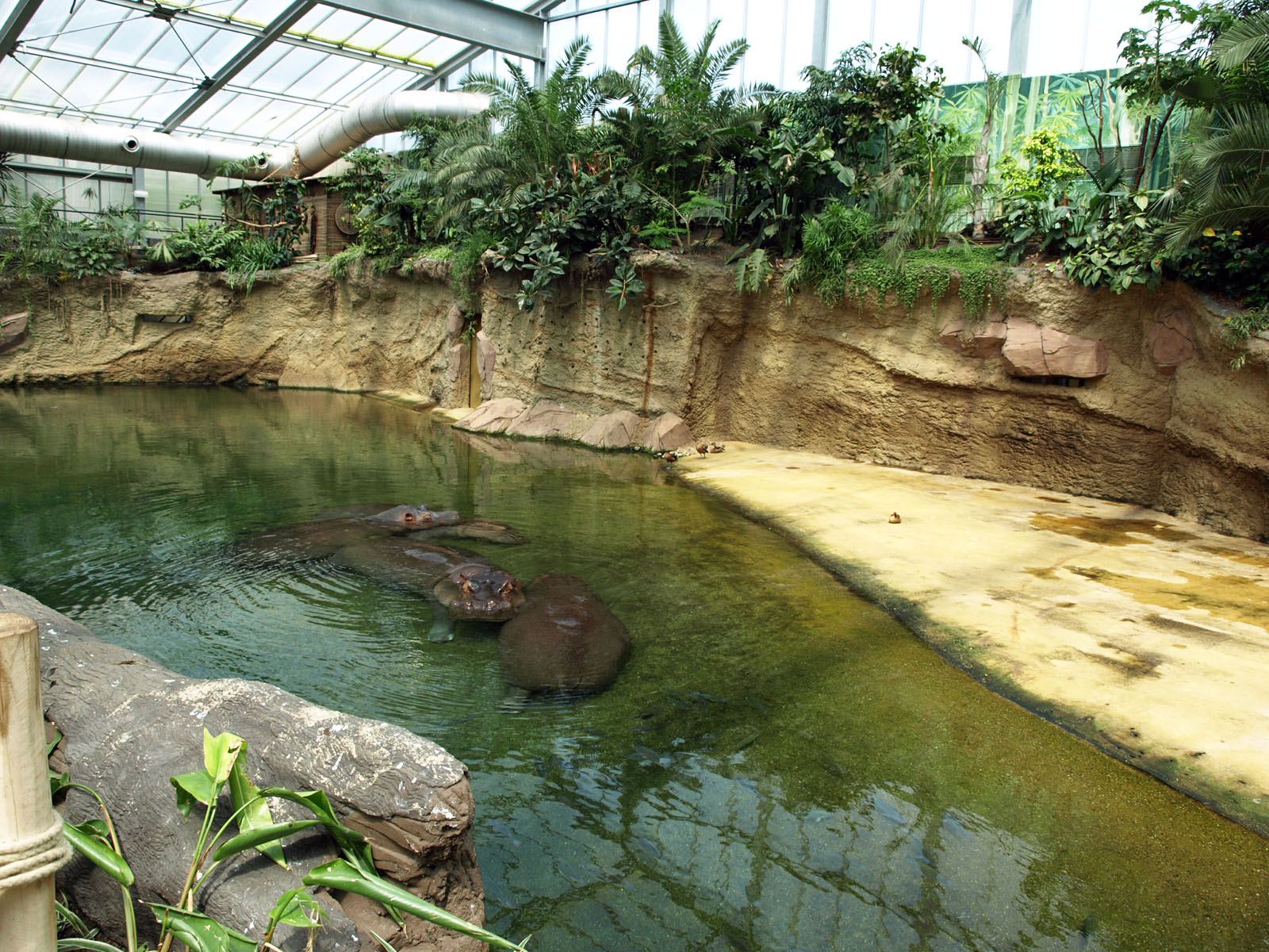 Interior of Hippodom