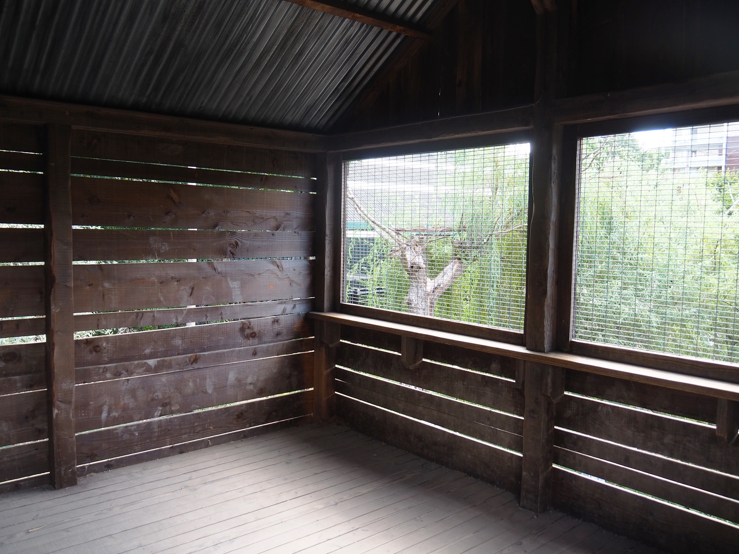 Interior of hunting cabin-themed viewing area for Steller's sea eagle, Common raven and Common black kite aviary, 2022-08-28