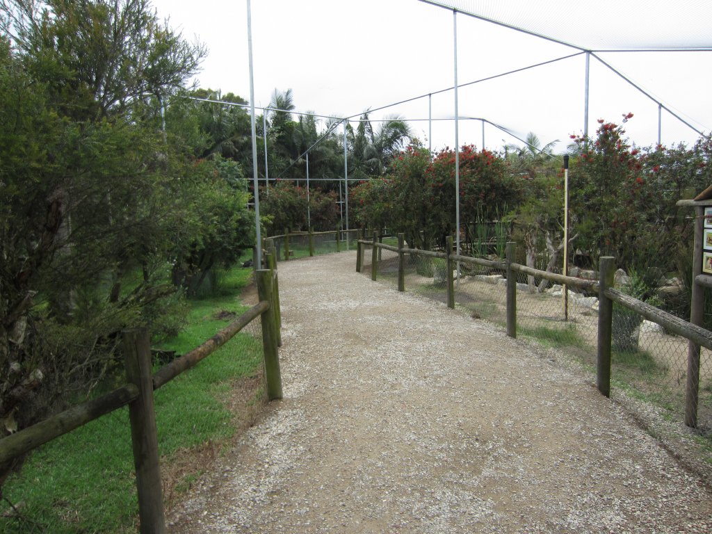 Interior of Large Walkthrough Aviary