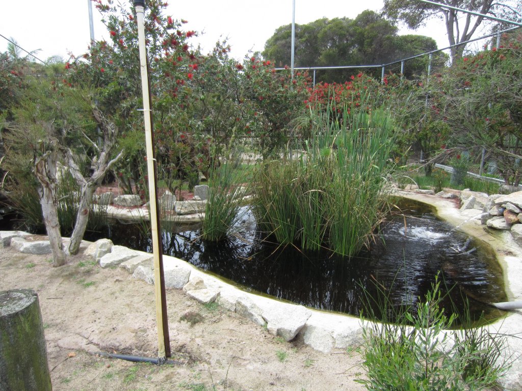 Interior of Large Walkthrough Aviary