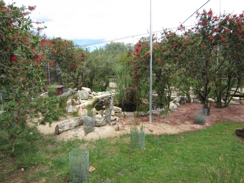 Interior of Large Walkthrough Aviary