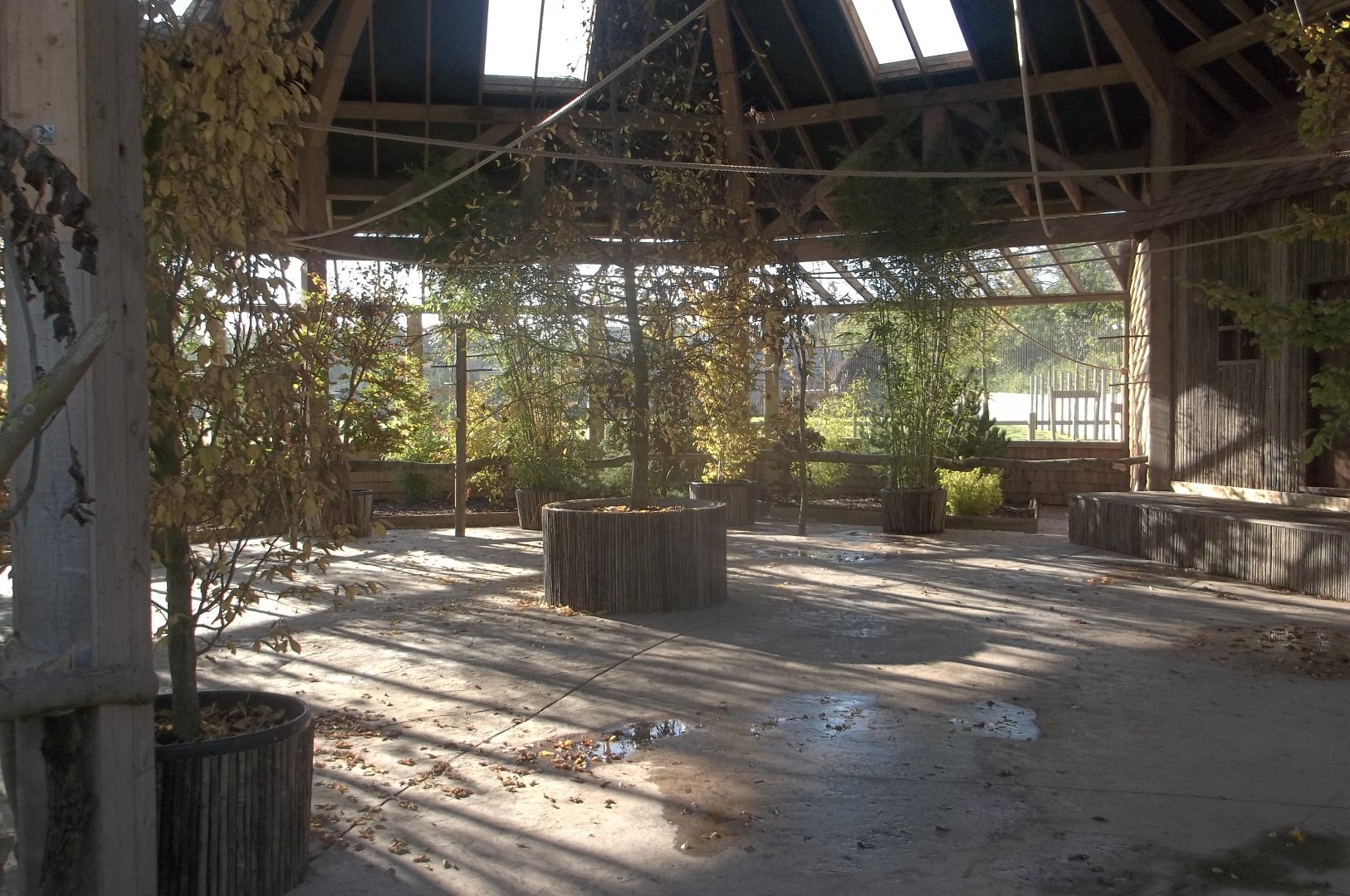 Interior of Lorikeet aviary, 22nd October 2016