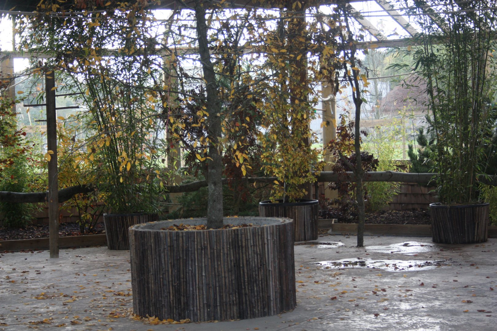 Interior of Lorikeet aviary, 22nd October 2016