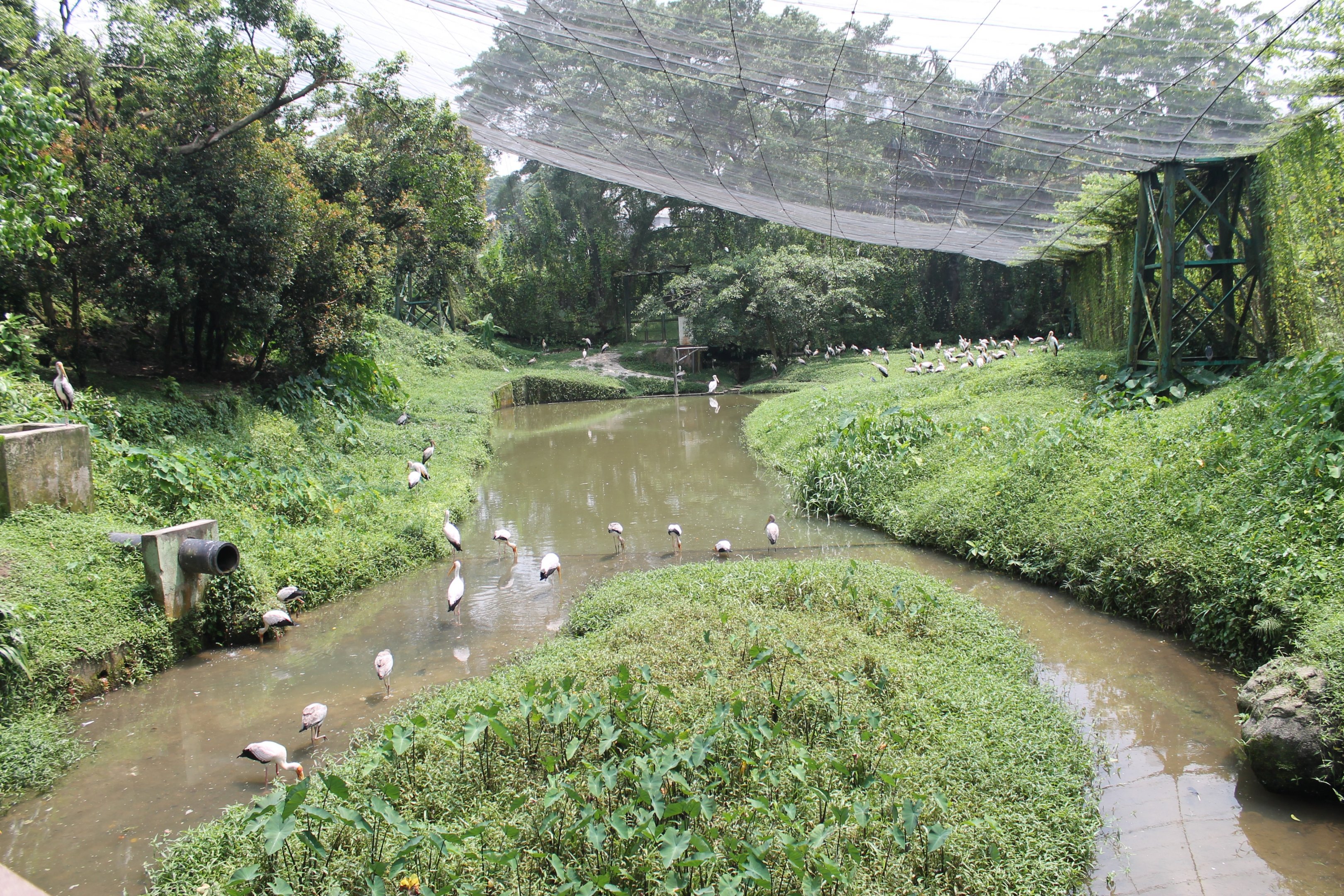 Interior of main walk-through aviary