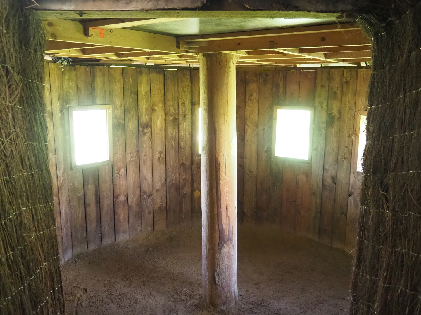 Interior of Maned wolf viewing hut, 2023-05-19