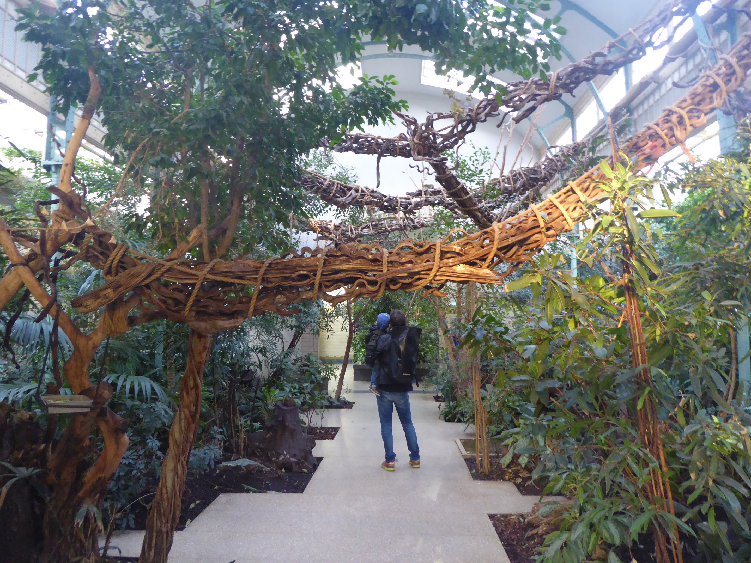 Interior of Monkey House