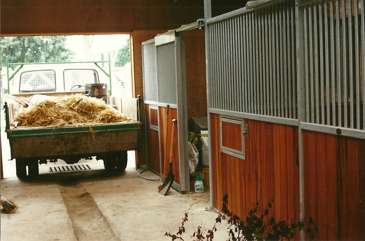 Interior of new Africa paddock house 29th April 2000