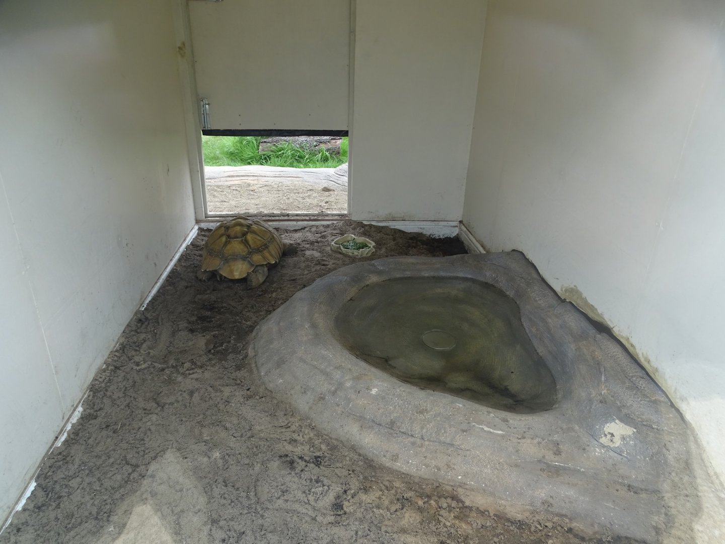 Interior of new African Spurred Tortoise house, 3rd September 2024