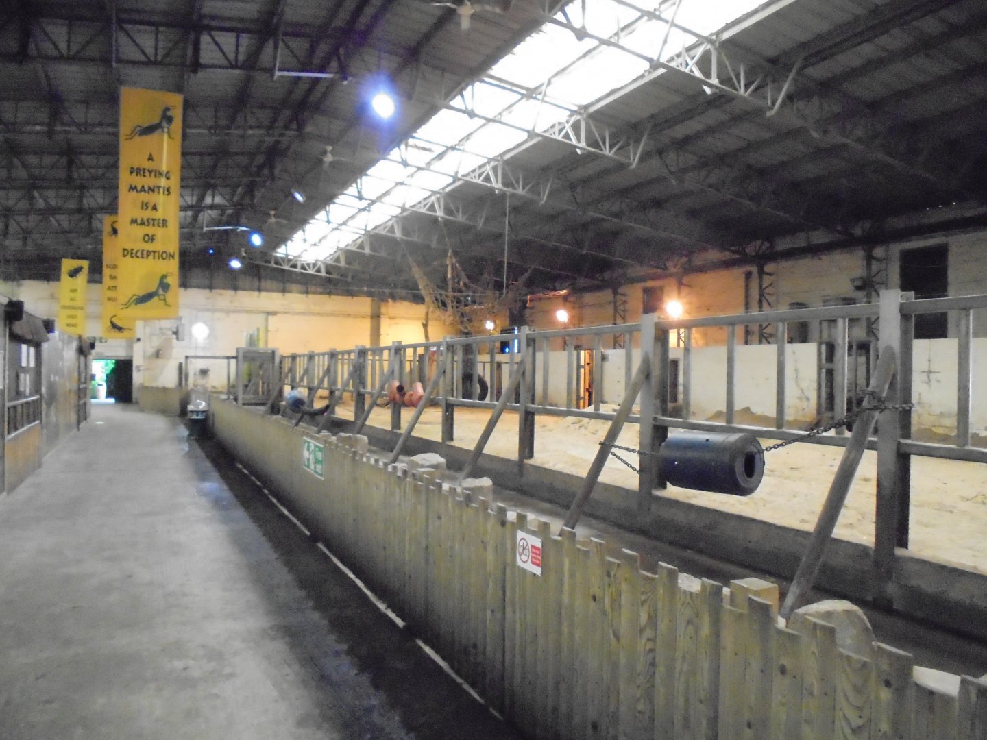 Interior of old Elephant House.