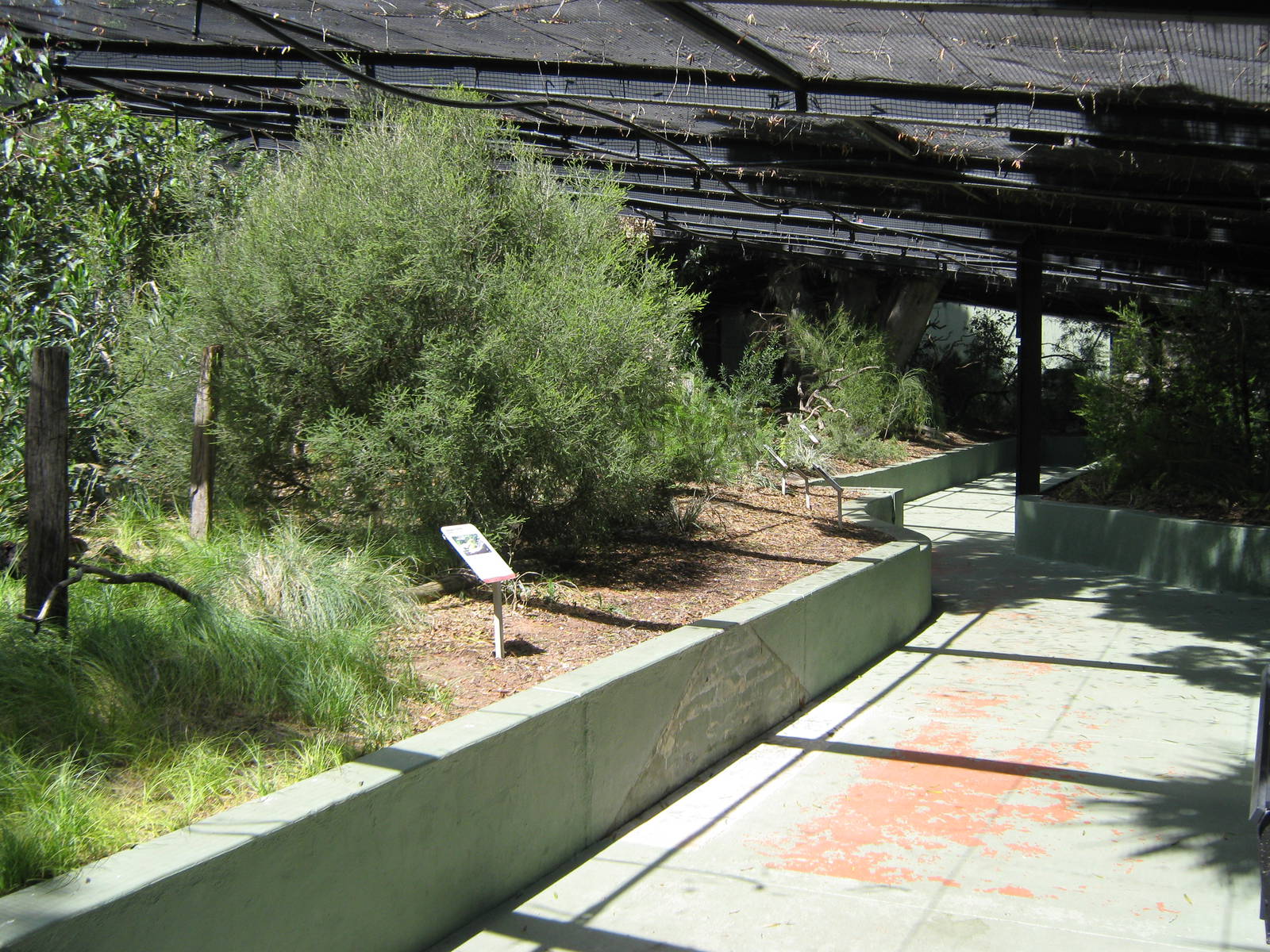 interior of one of the native walk-through aviaries