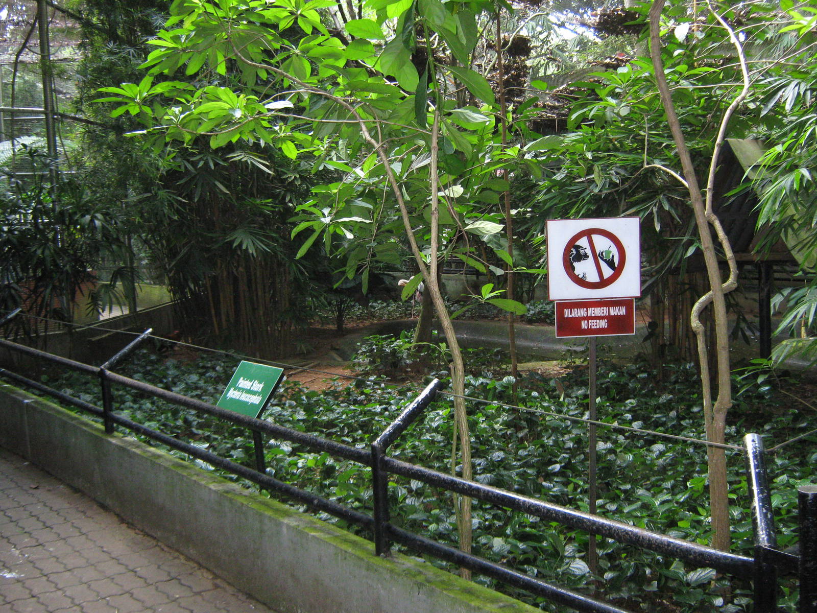 interior of one of the walk-through aviaries