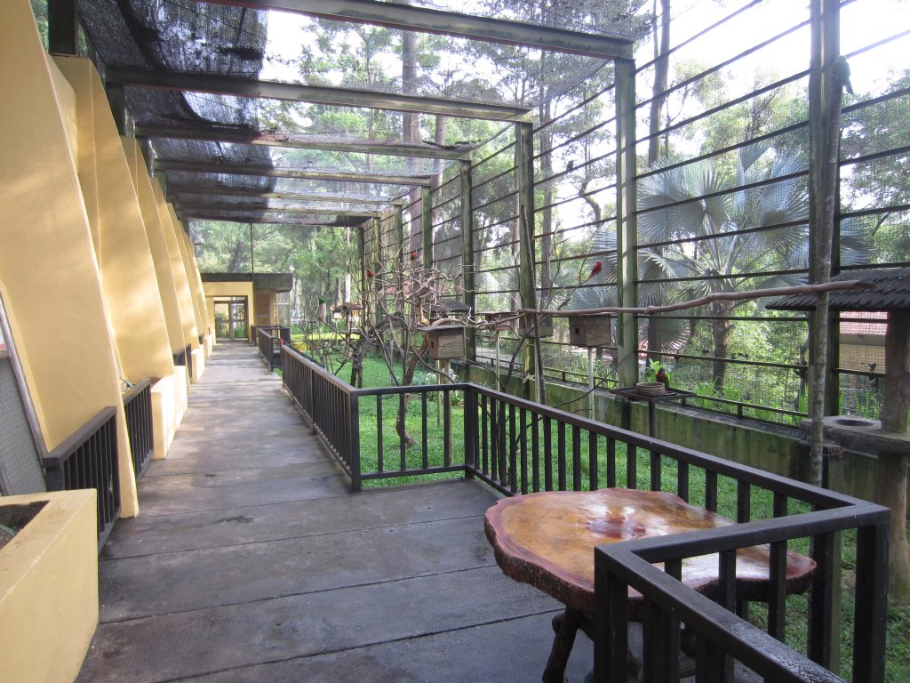 Interior of Parrot Aviary