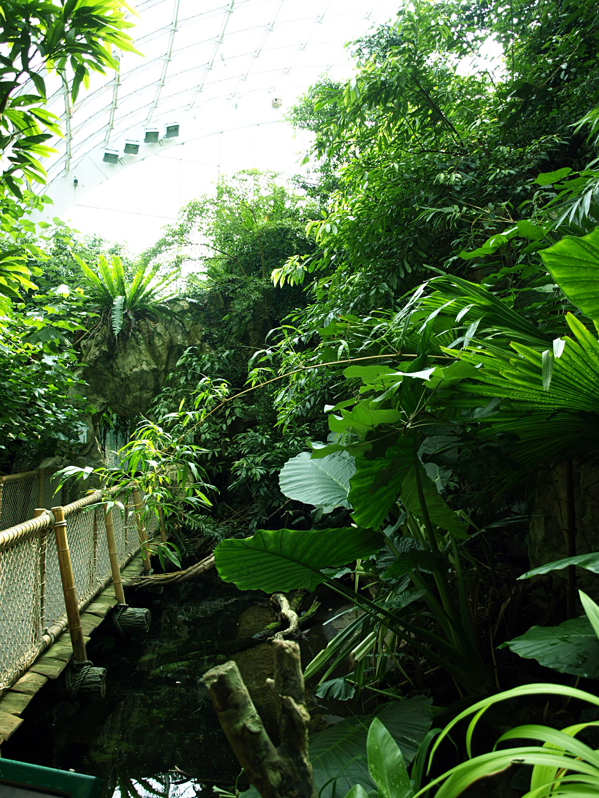 Interior of Rainforest House