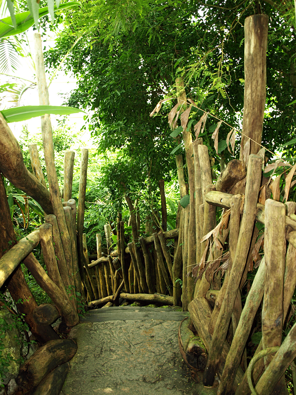 Interior of Rainforest House