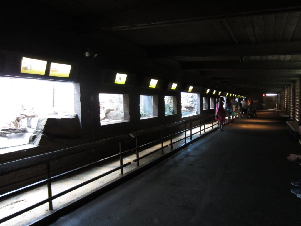 Interior of Reptile House
