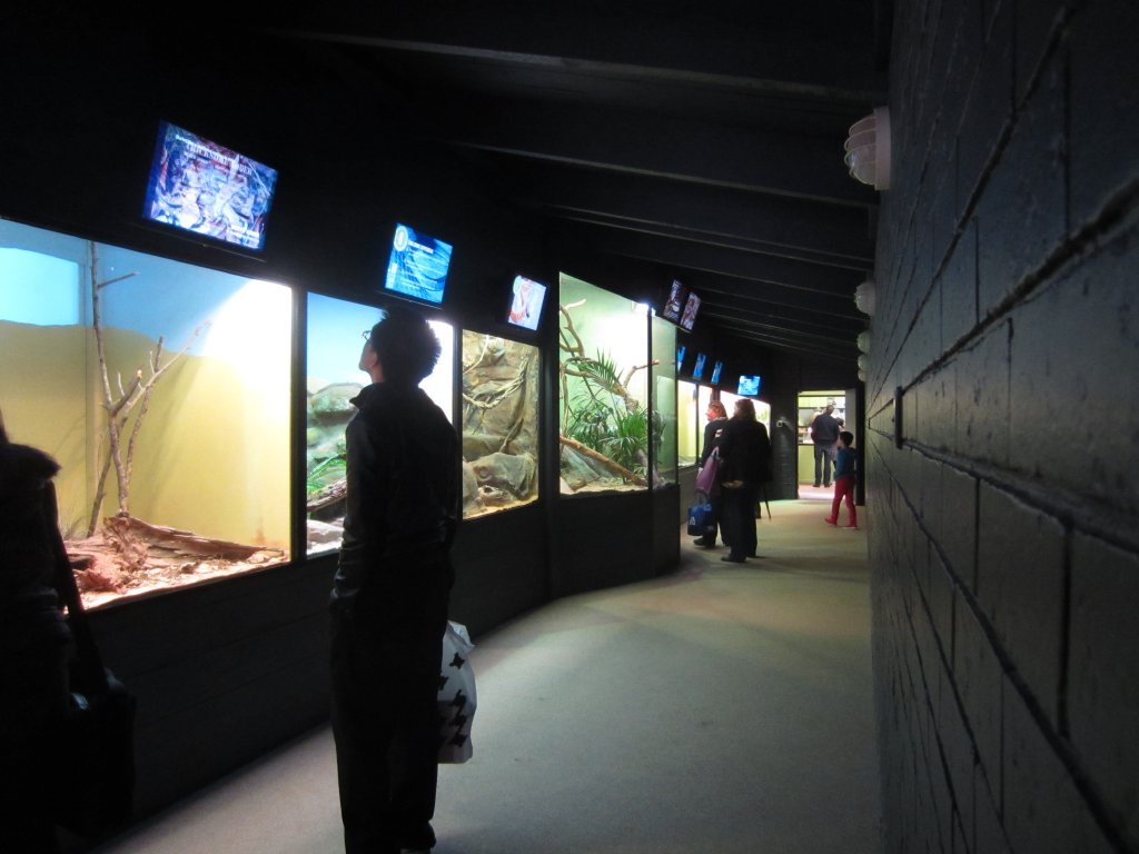 Interior of Reptile House