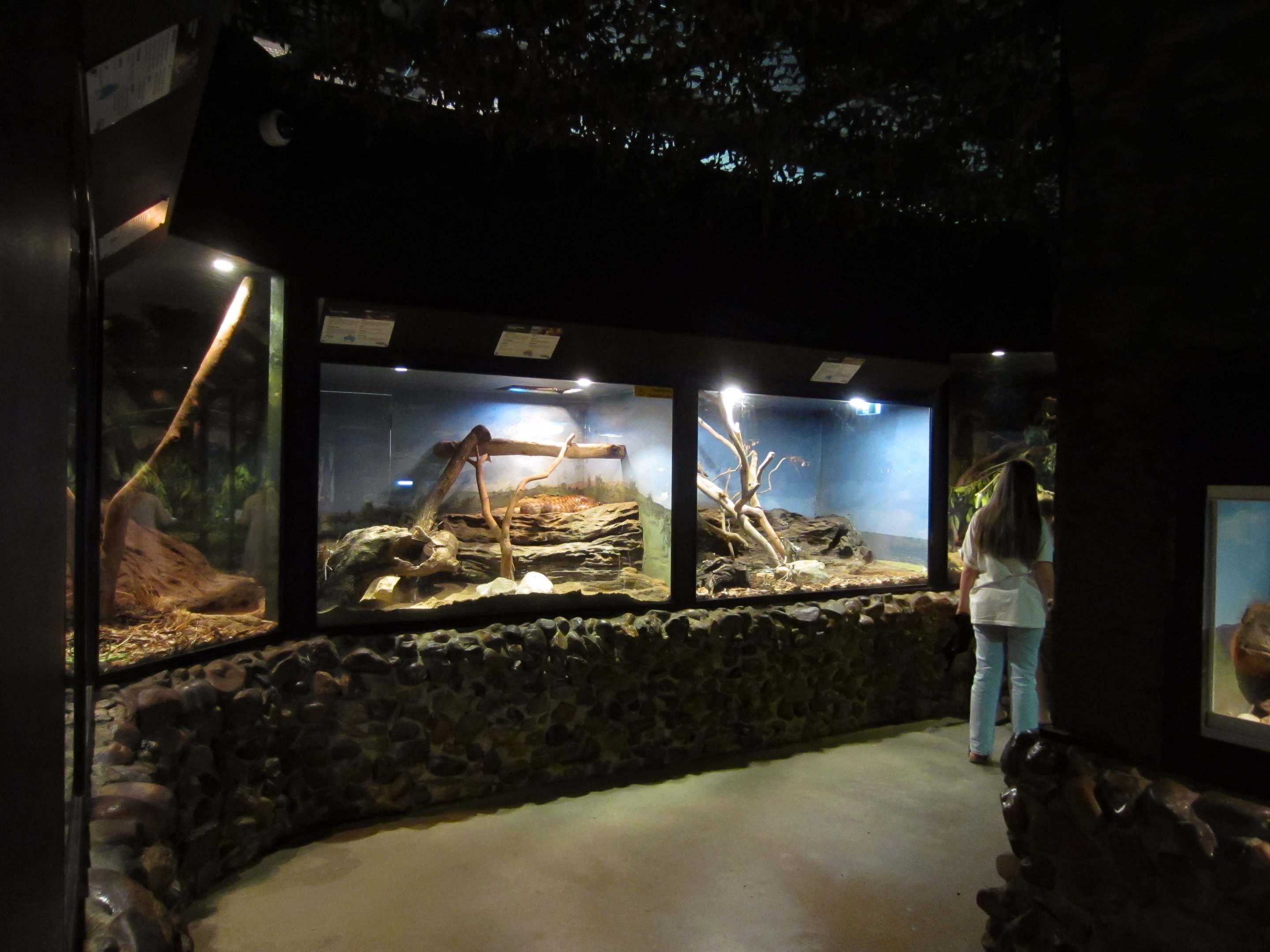 Interior of Reptile House