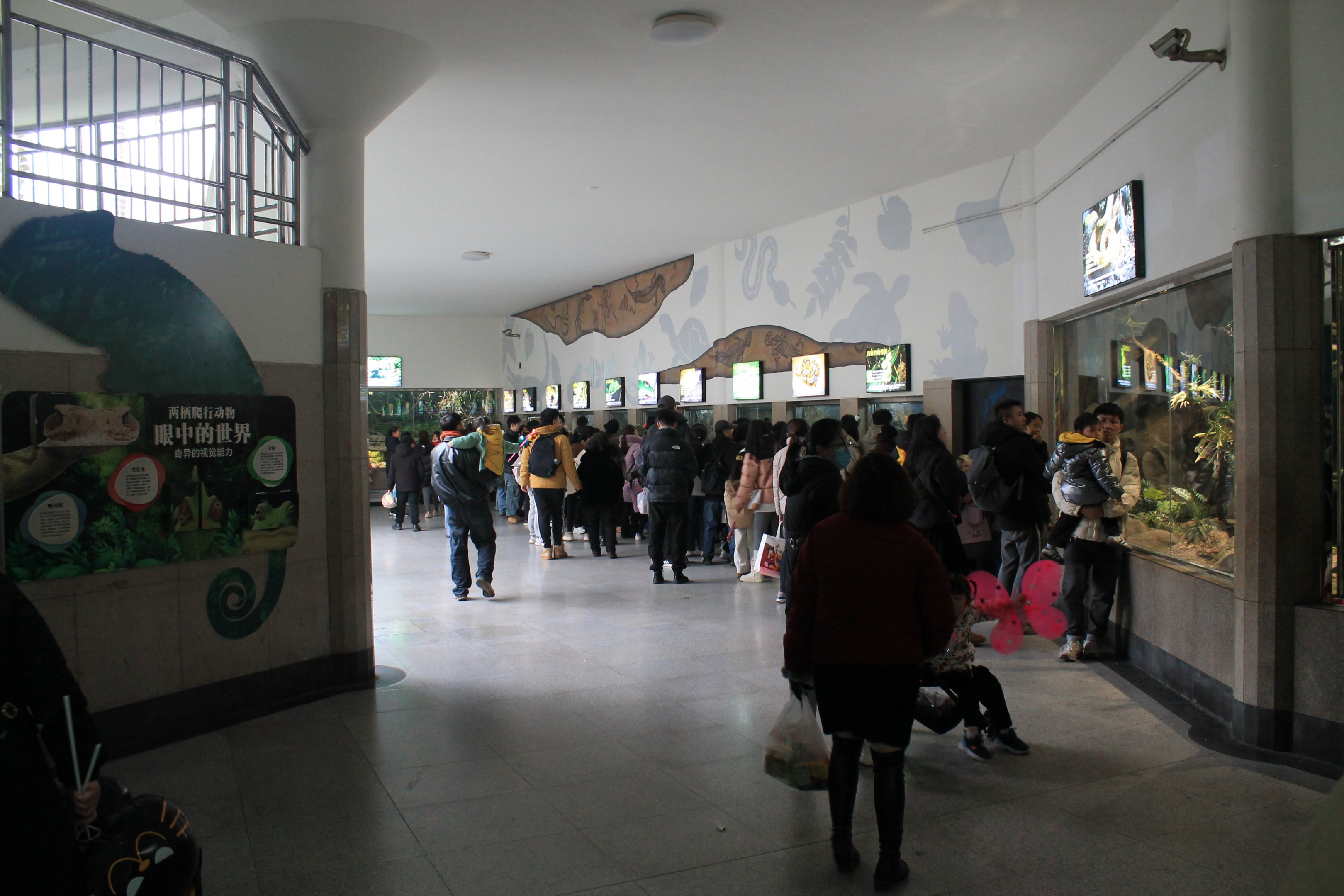 Interior of Reptile House