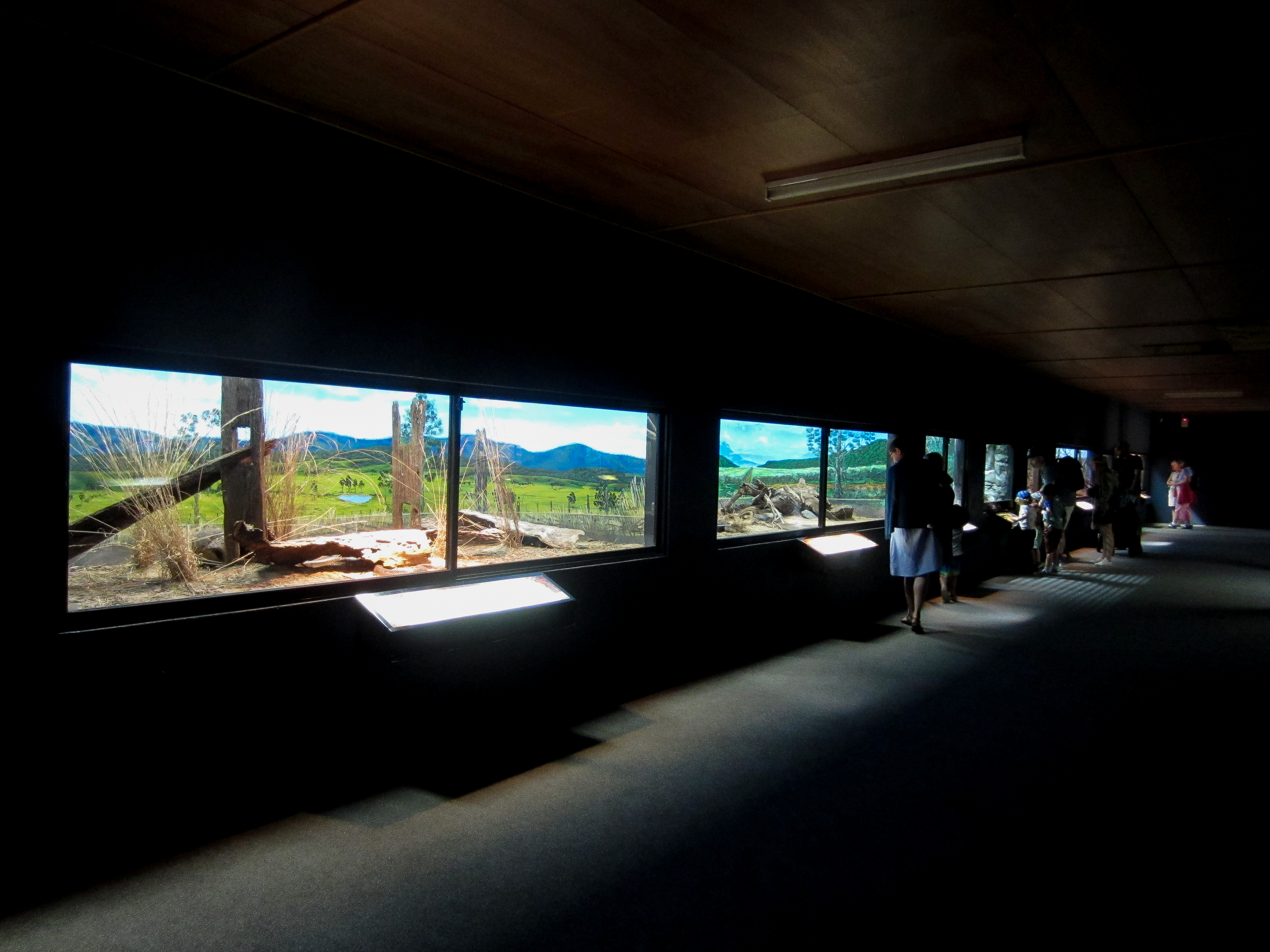 INterior of "Robert's Reptile House"