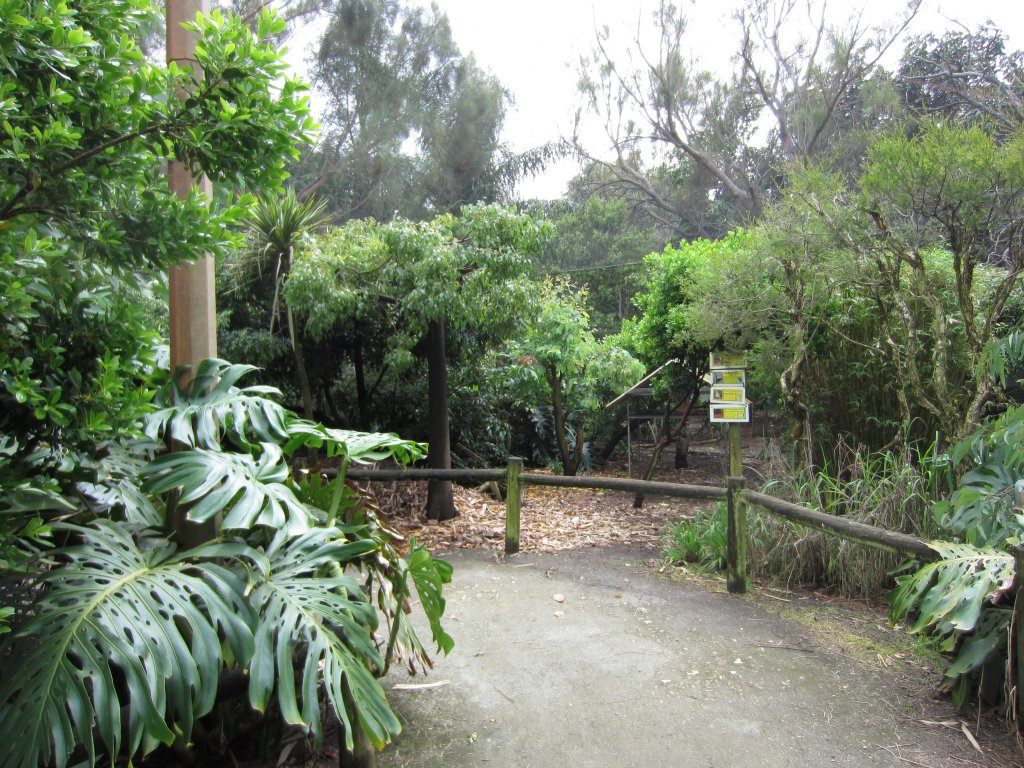 Interior of Small walkthrough aviary