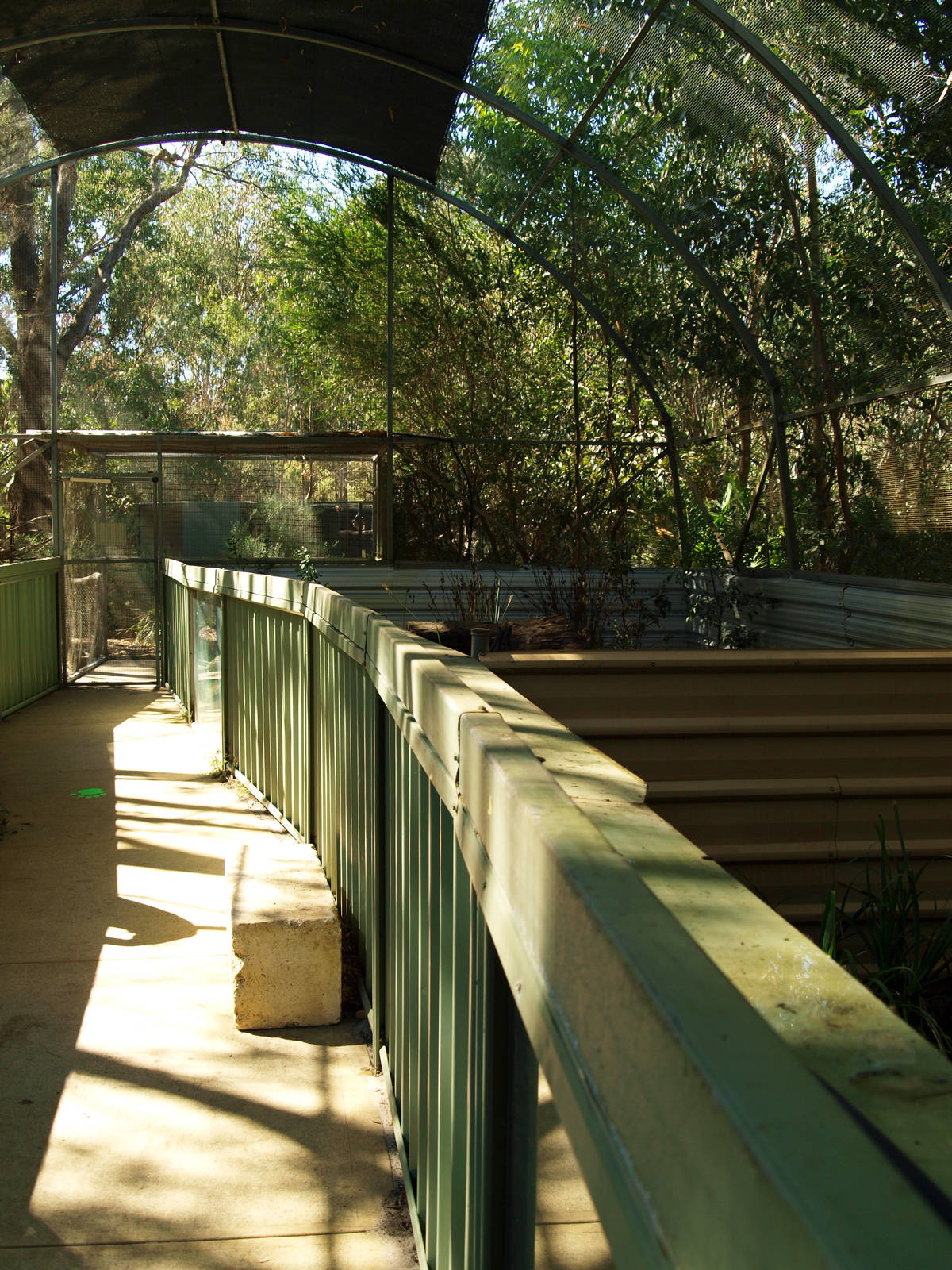 Interior of Tasmanian Devil breeding complex