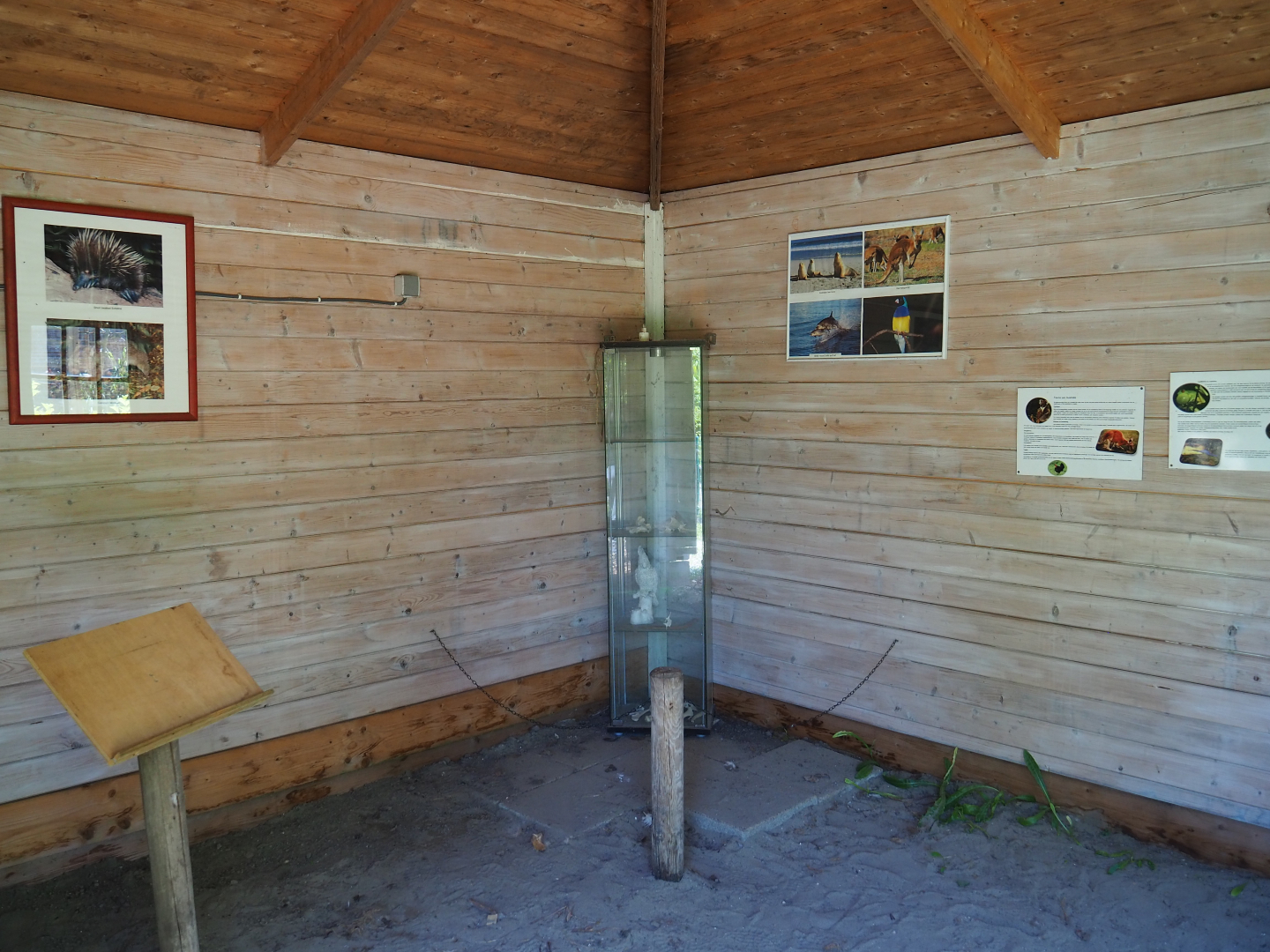 Interior of the Australian animal education shack, 2019-06-01