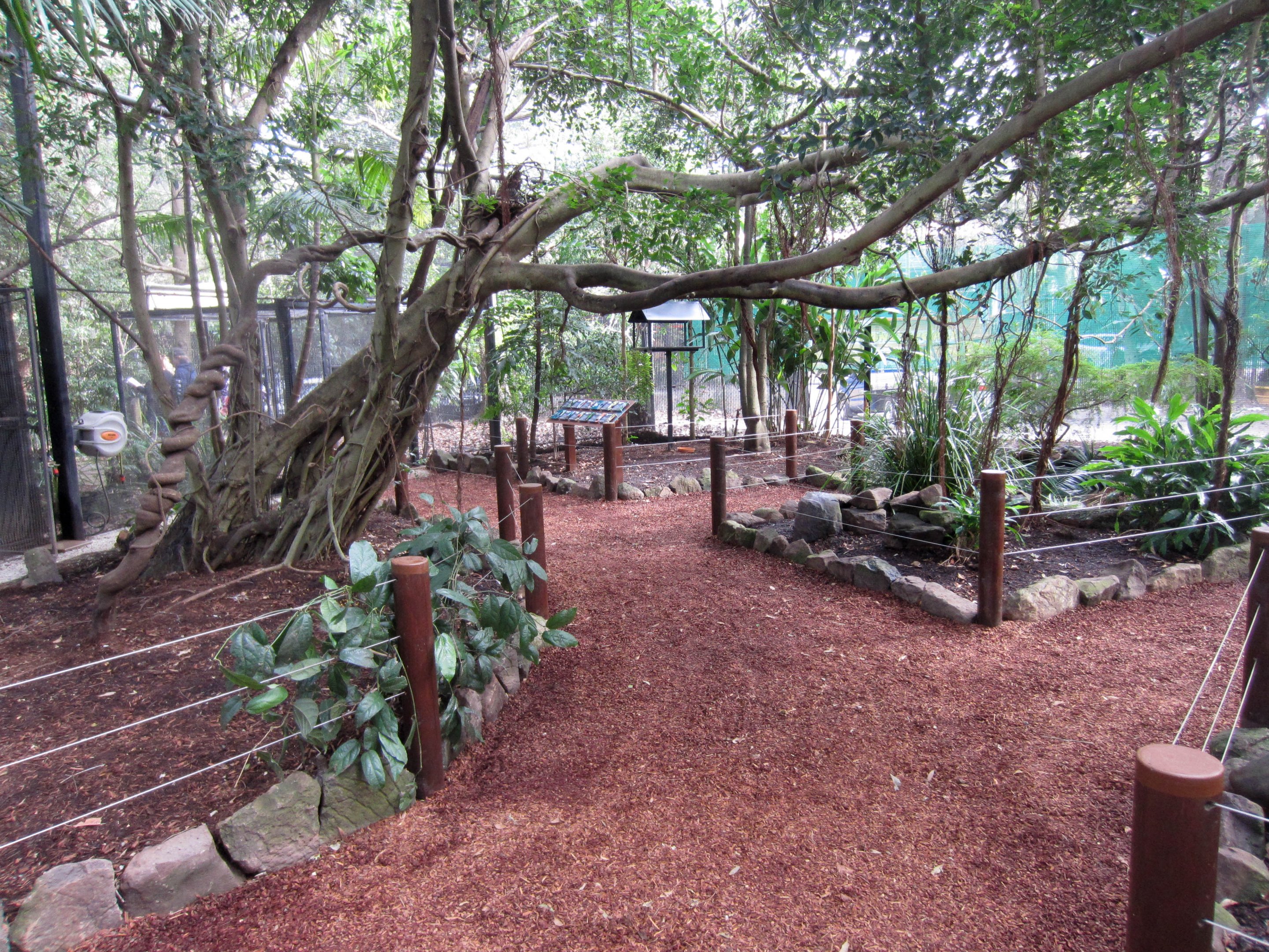 Interior of the Forest Fringe Aviary