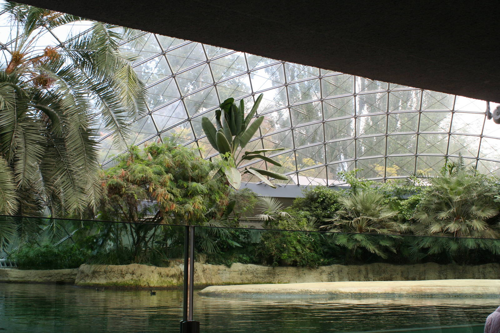 Interior of the Hippo House @ Berlin Zoo 05.09.2007