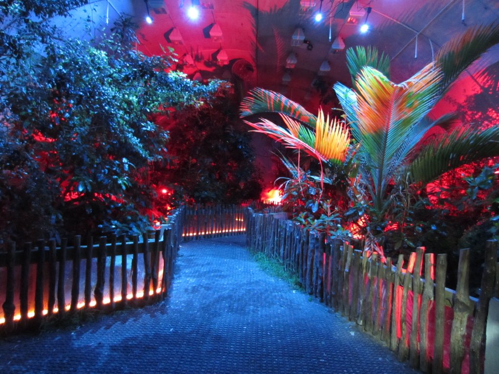 Interior of the Kiwi House