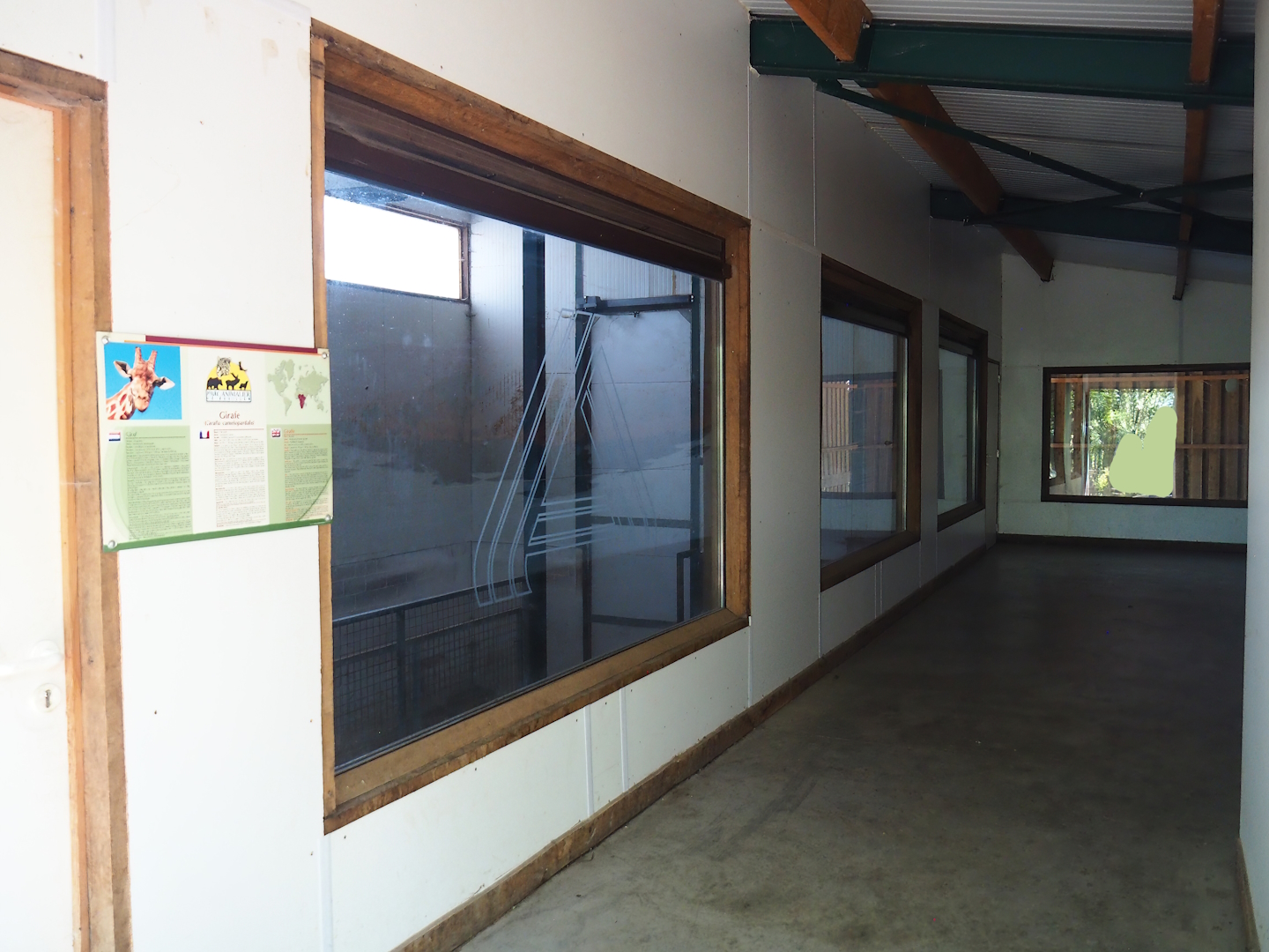 Interior of the Kordofan giraffe barn - With recycled window from an Aldi supermarket, 2023-06-24