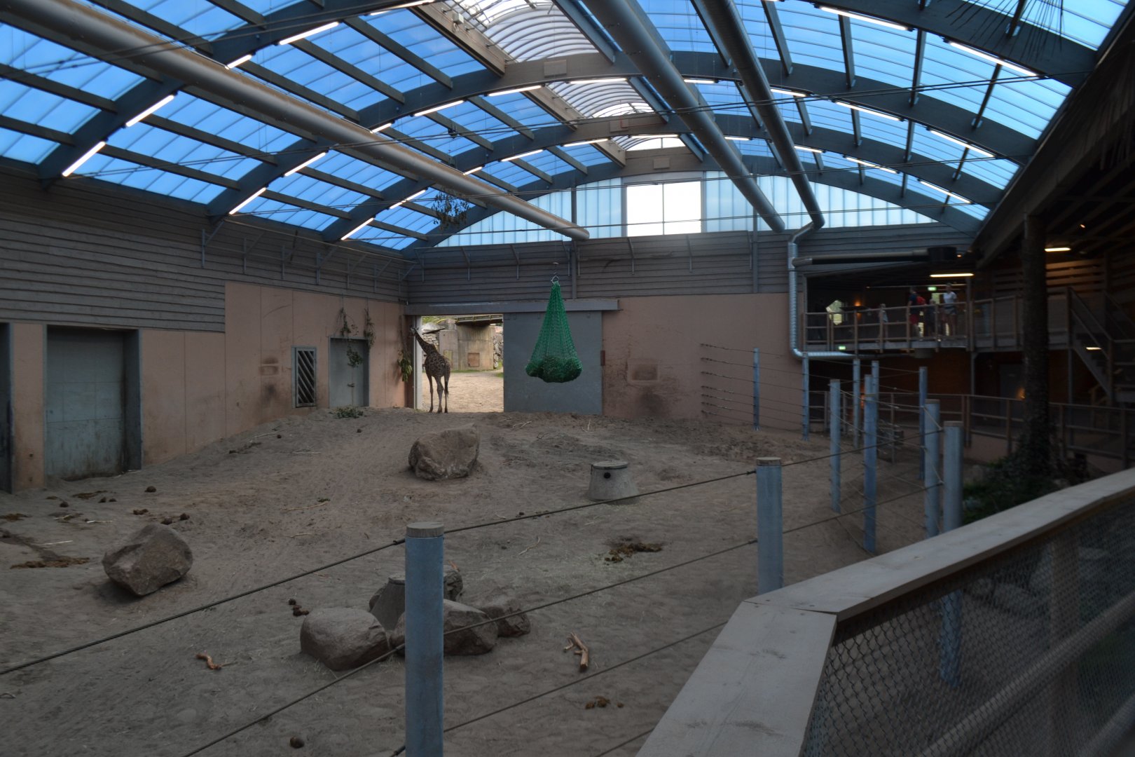 Interior of the new part of the extended elephant house