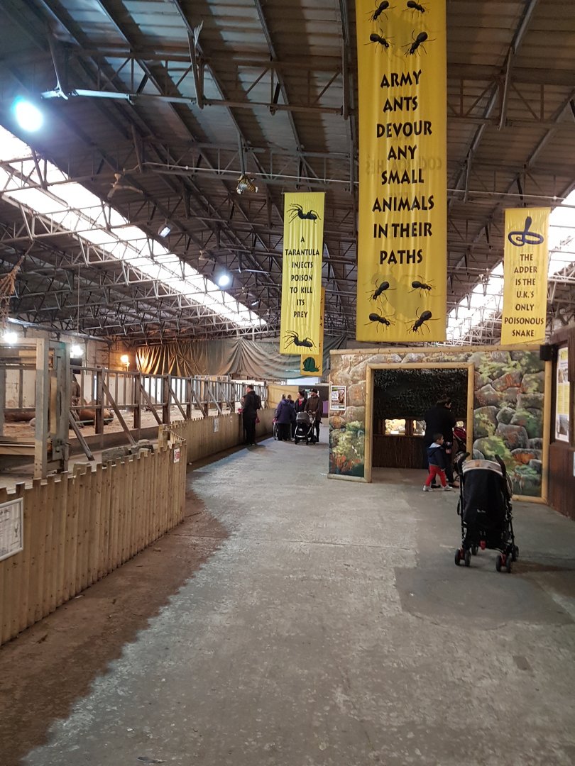 Interior of the old elephant house