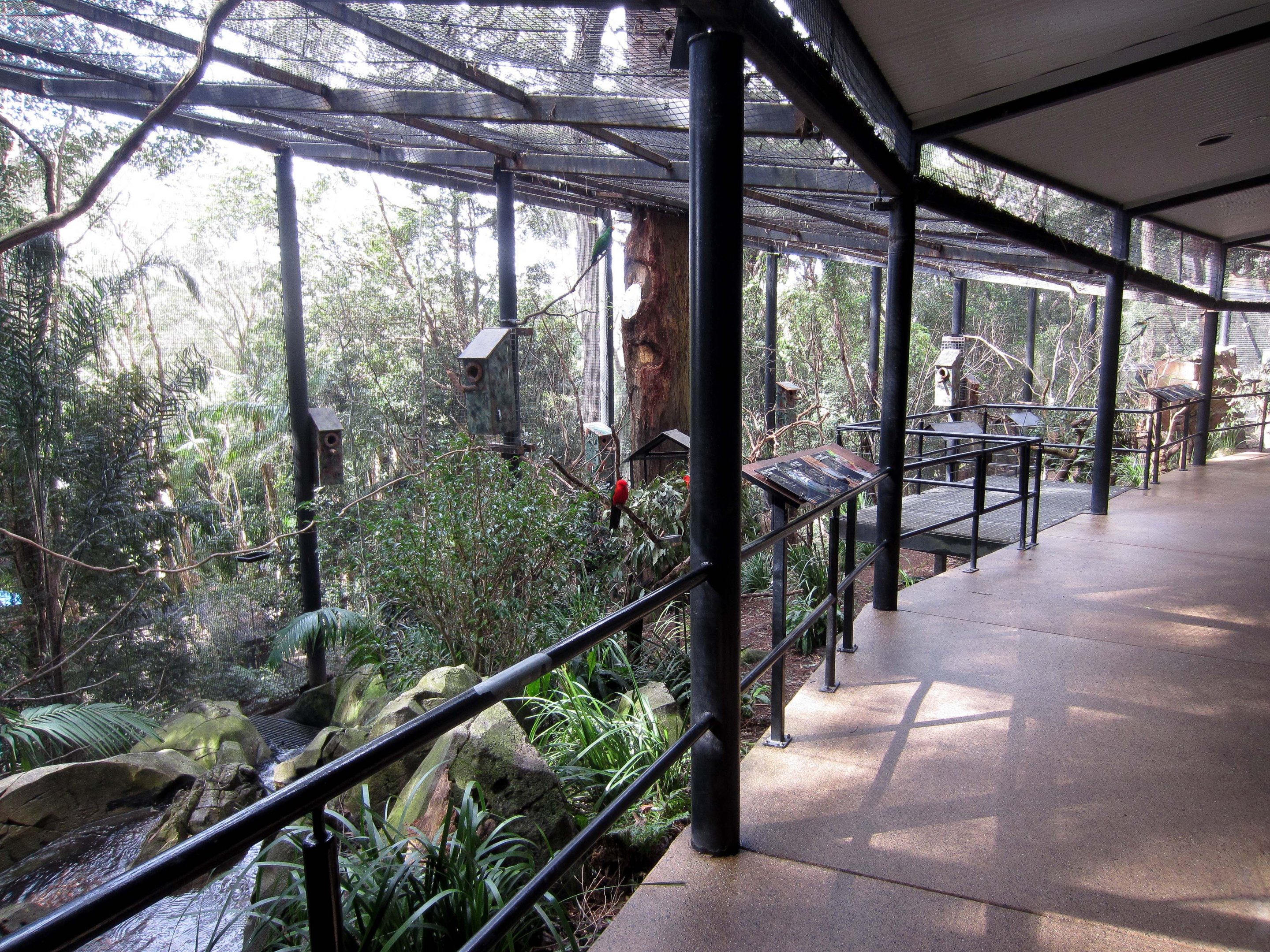 Interior of the Parrot Walk-through Aviary
