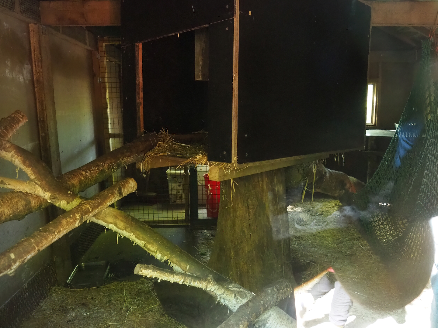 Interior of the Raccoon and striped skunk barn, 2023-05-19