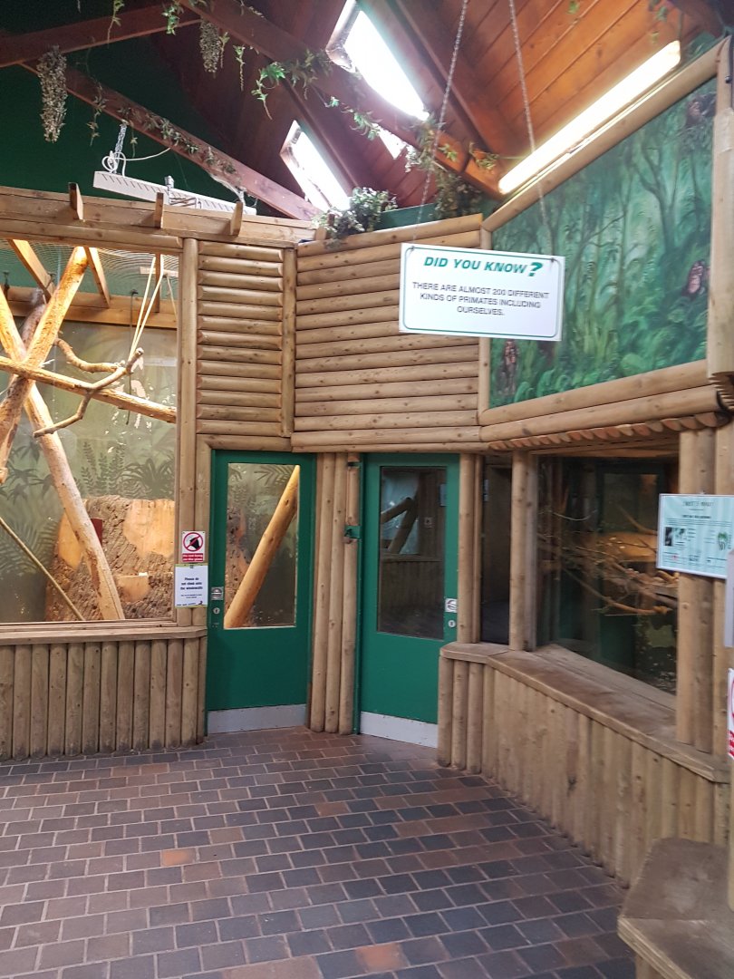 Interior of the small primate house
