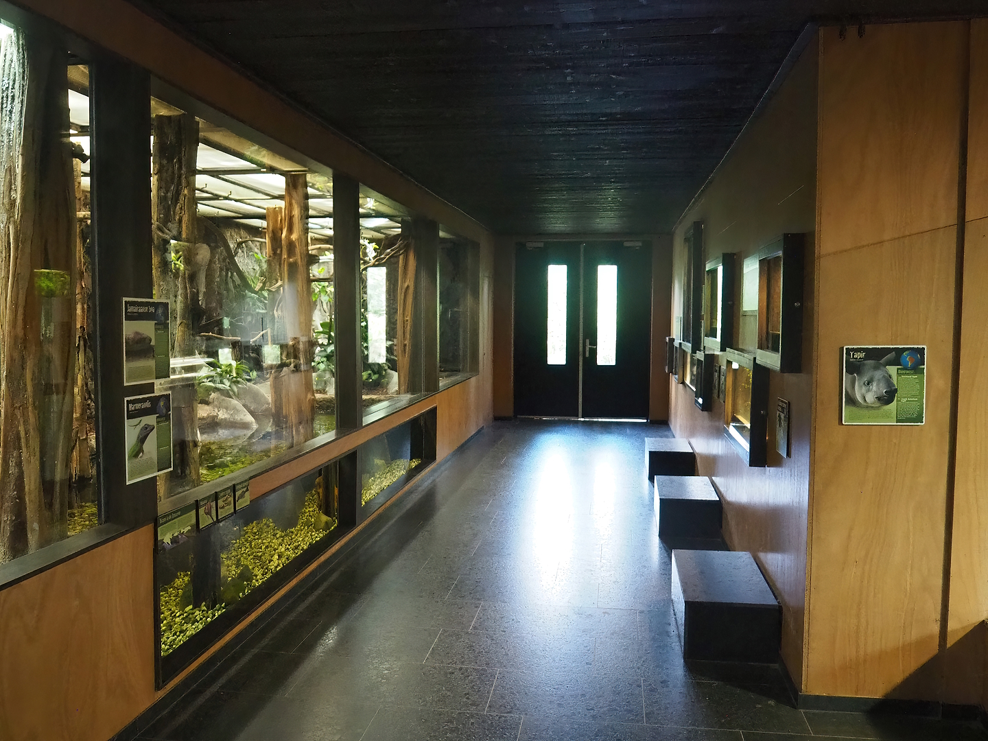 Interior of the terrarium and tapir house, 2022-08-20