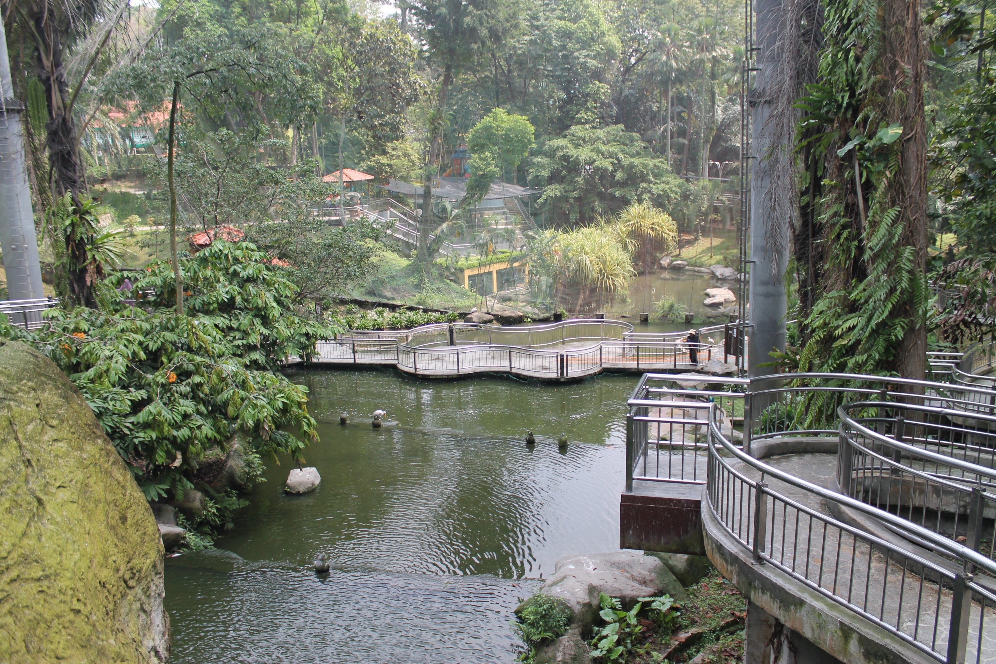 Interior of the Waterfall Aviary