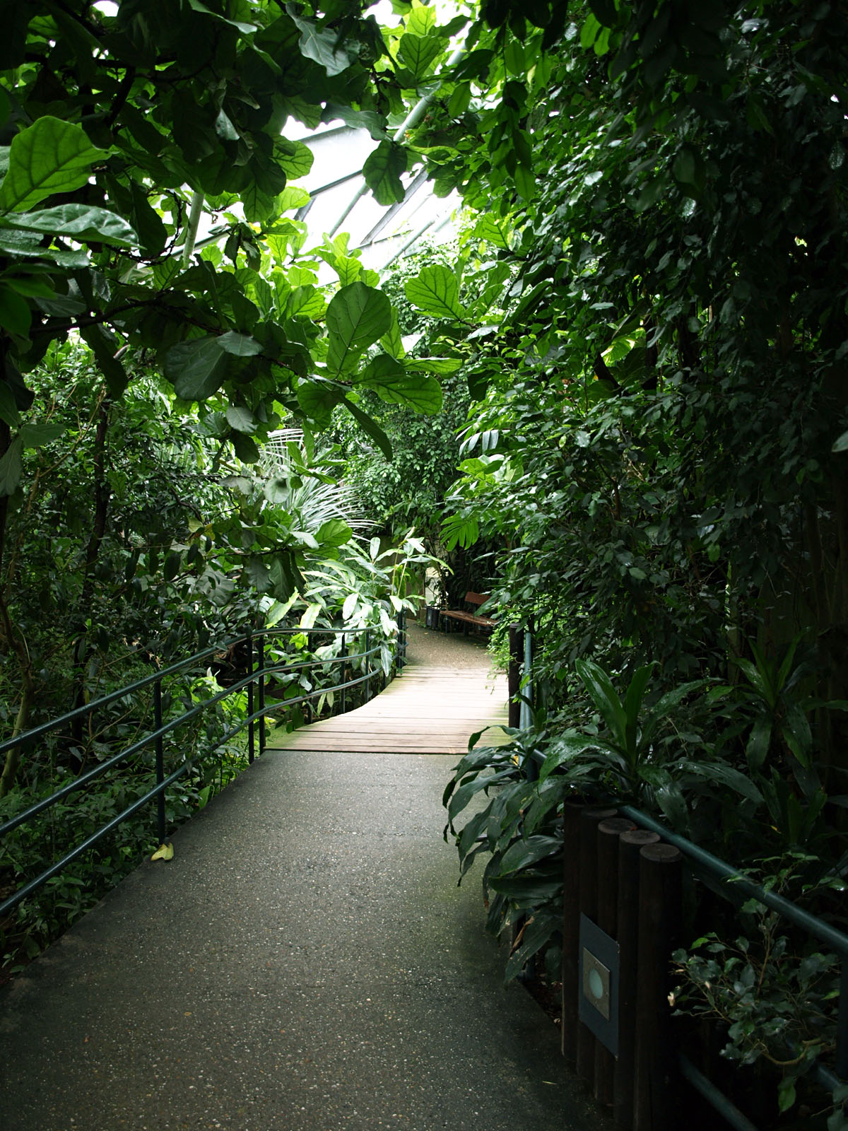 Interior of Tropical Ape House