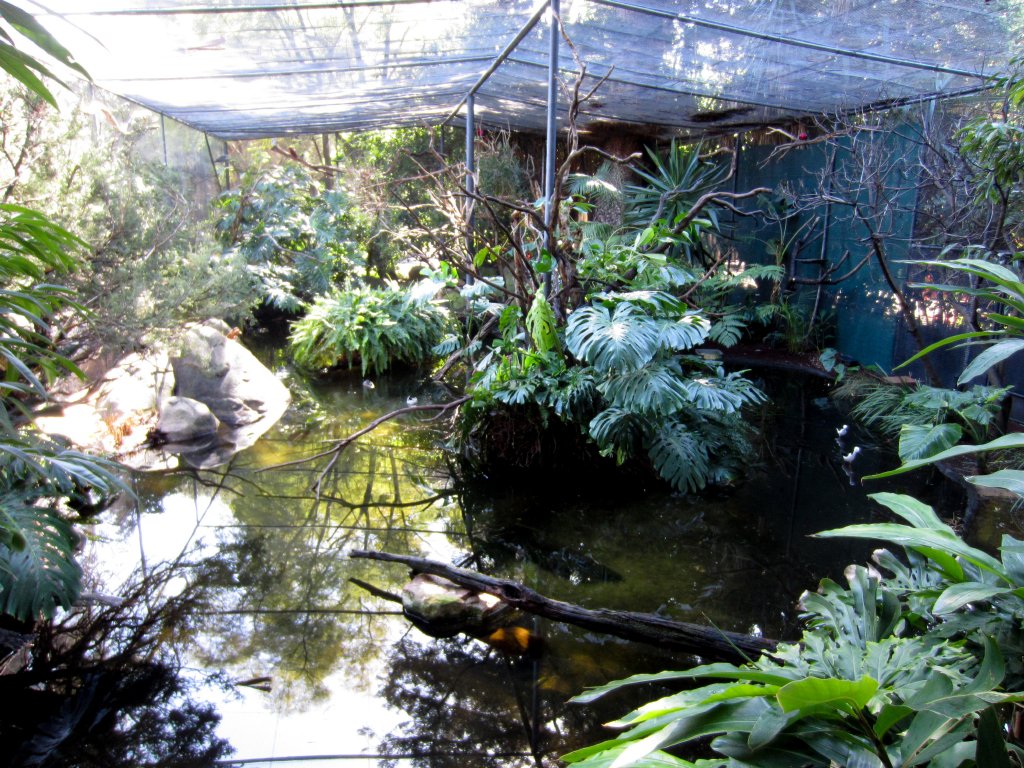 Interior of Tropical Aviary