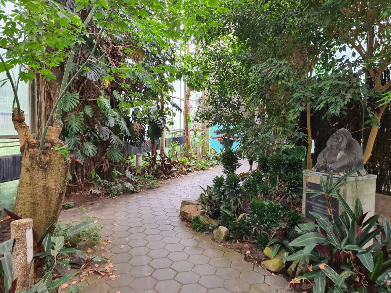 Interior of  tropical house
