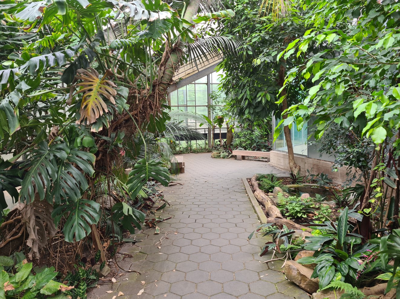 Interior of tropical house