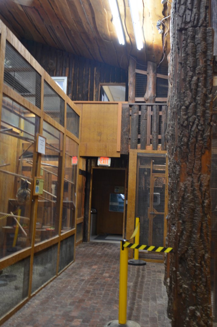 Interior of Tropical House