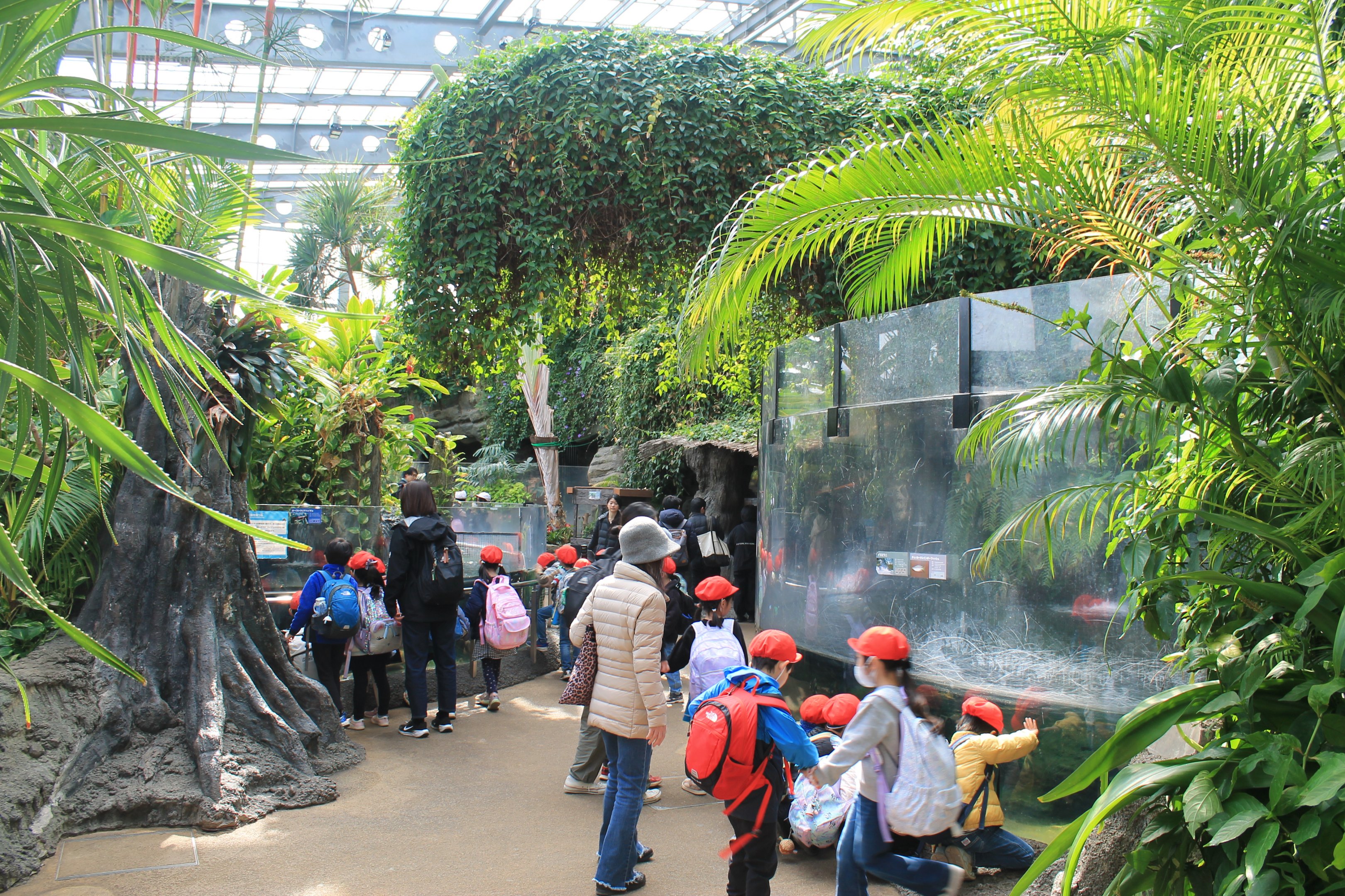 Interior of Vivarium
